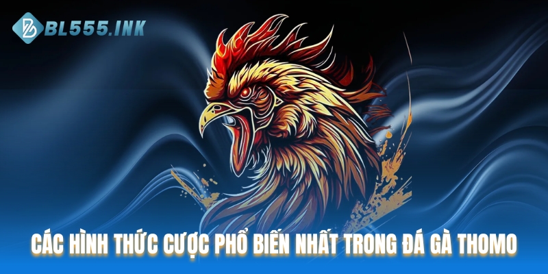 Các hình thức cược phổ biến nhất trong đá gà Thomo