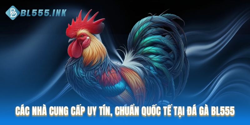 Các nhà cung cấp uy tín, chuẩn quốc tế tại Đá Gà BL555