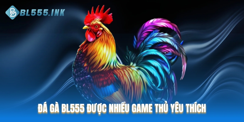Đá Gà BL555 là hình thức giải trí được nhiều game thủ yêu thích