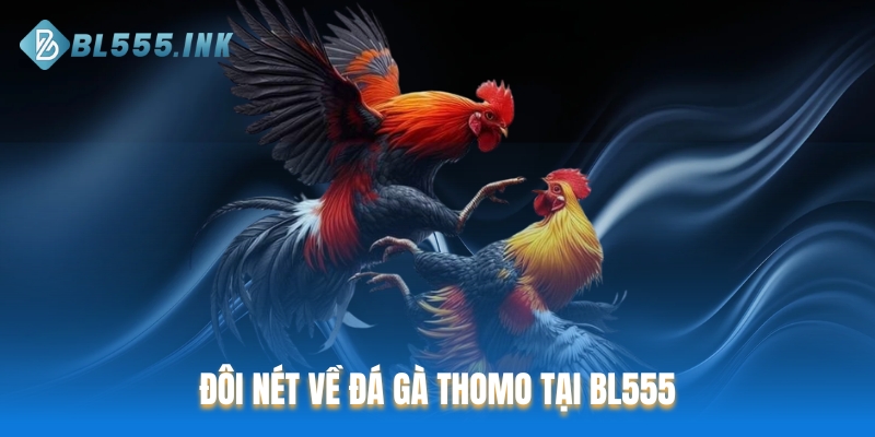 Đôi nét về đá gà Thomo tại BL555