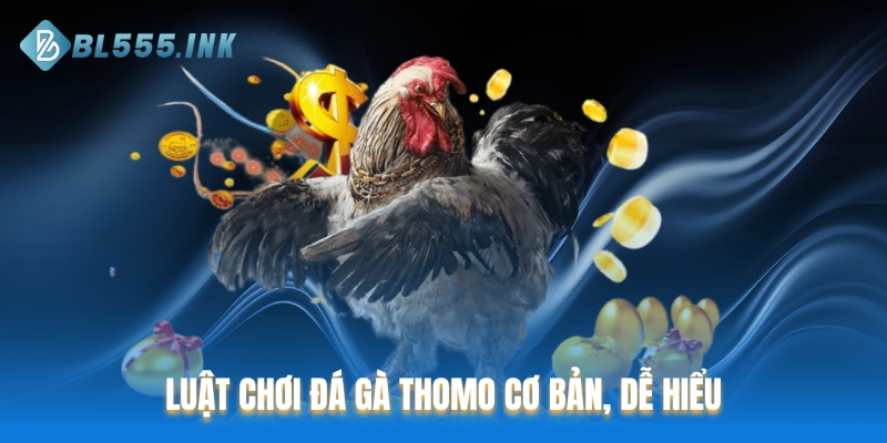 Luật chơi đá gà Thomo cơ bản, dễ hiểu